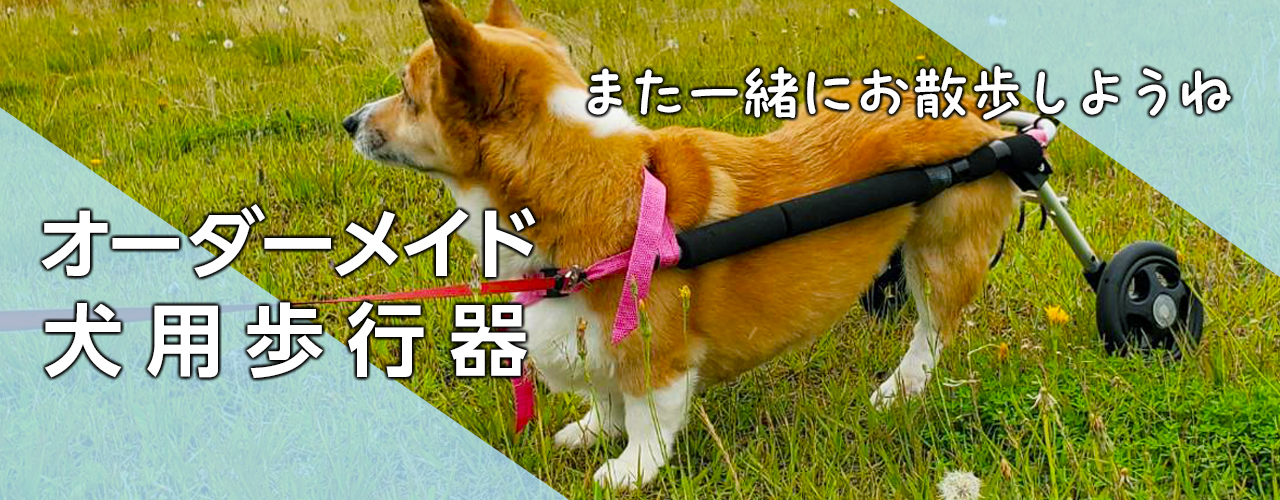 株式会社グッドプラネット｜犬用歩行器